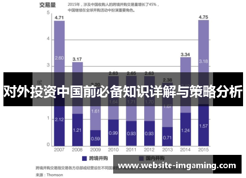 对外投资中国前必备知识详解与策略分析