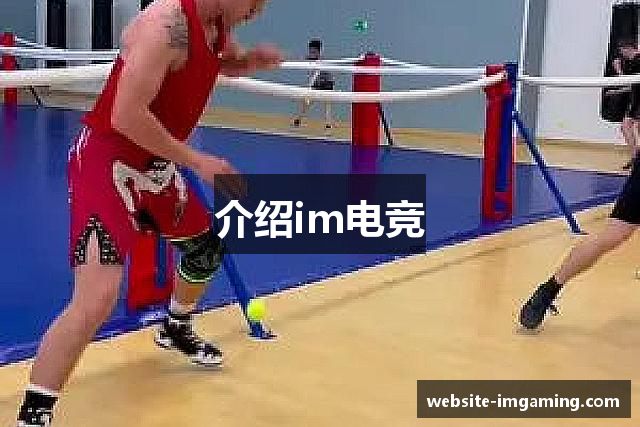 介绍im电竞